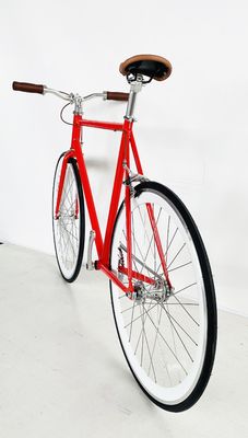 USA OEM Sport Fixie Bikes с запечатанными подшипниковыми узлами и красочной стальной рамой Hi-Ten