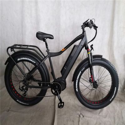 1000 Вт Bafang Mid Drive Motor Alloy Rear Carrier Центральный электрический велосипед со стандартами