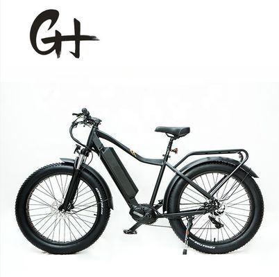 1000 Вт Bafang Mid Drive Motor Alloy Rear Carrier Центральный электрический велосипед со стандартами