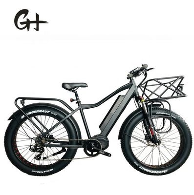 1000 Вт Bafang Mid Drive Motor Alloy Rear Carrier Центральный электрический велосипед со стандартами