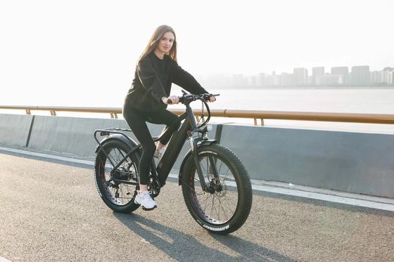 1000 Вт Bafang Mid Drive Motor Alloy Rear Carrier Центральный электрический велосипед со стандартами
