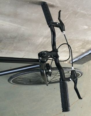 Фиксированная скорость 700C EN15194 OEM Цветный логотип CE 43MM Deep V Rim Single Speed Track Bike