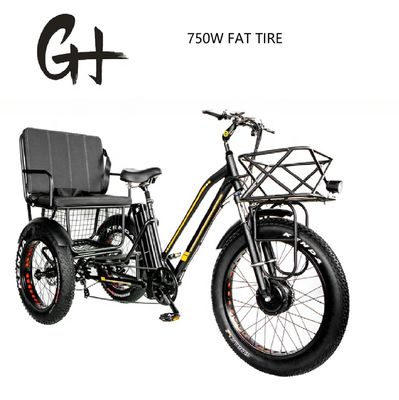 Bafang 750W Мотоэлектрический трехколесный велосипед с жирной шиной E Три колеса и пассажирское сиденье
