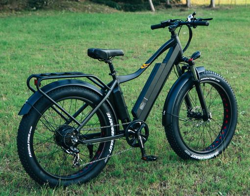 48 Вт 1000 Вт 17 АГ литийная батарея OEM EN15194 CE настраиваемый электрический велосипед MTB горные жирные шины