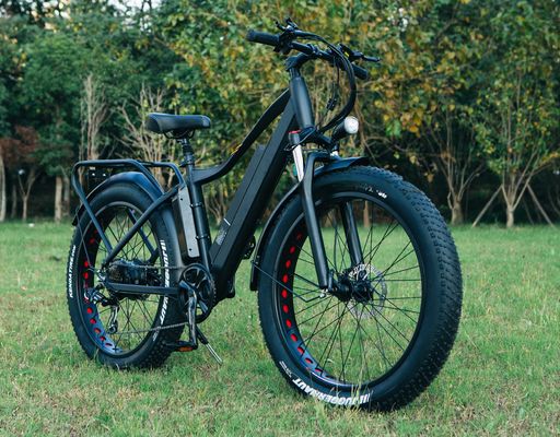48 Вт 1000 Вт 17 АГ литийная батарея OEM EN15194 CE настраиваемый электрический велосипед MTB горные жирные шины