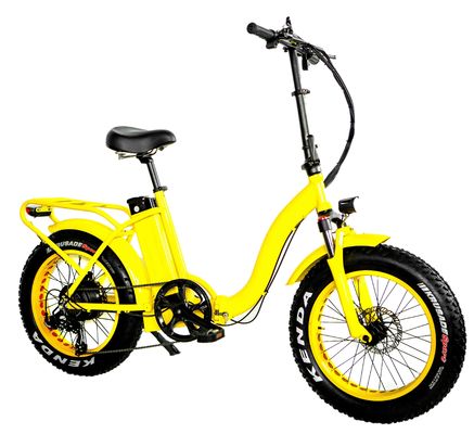7 скорости 20&quot; 4.0 EN15194 CPSC Снежная шина Большая мощность жирная шина 48V 1000W 32MPH 13AH Литийная батарея Леди Женщины Унисексный электрический складный велосипед
