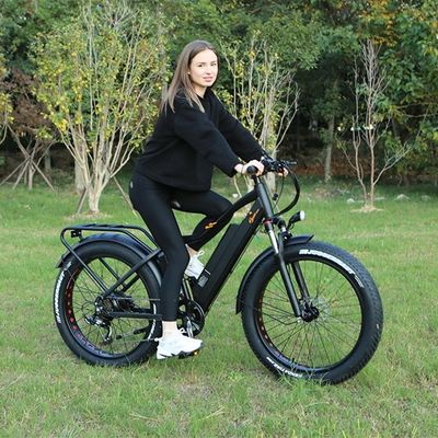 52V 17AH Литийная батарея 1000W BaFang Fat Снежная шина Горный EMTB Электровелосипед 55KM/H