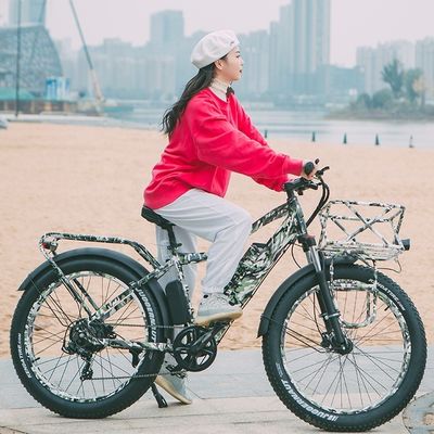 52V 17AH Литийная батарея 1000W BaFang Fat Снежная шина Горный EMTB Электровелосипед 55KM/H