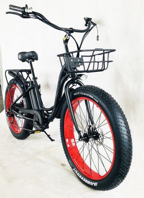 26&quot; 750W 48V 20MPH OEM 21AH UL2849 Взрослые женщины Леди пляжный крейсер электрический большой 4.0 жирный снежные шины велосипед