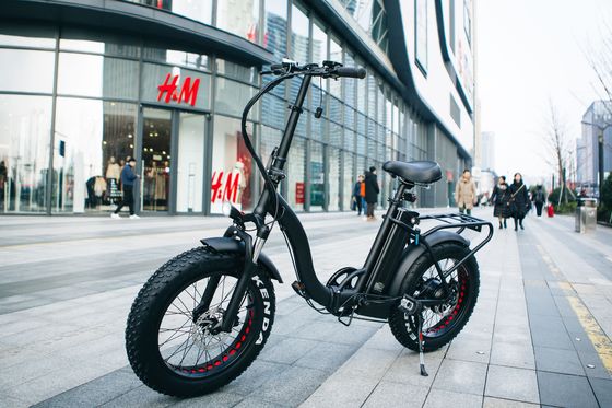 7 скорости 20 &quot; 48V 750W 14AH 20MPH Литий батарея OEM UL2849 США Рынок взрослых Леди Женщины Электрический складной снег большой плоской шины велосипед
