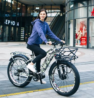 48В 17AH 1000W BaFang Central Motor Электрический горный велосипед с 26 &quot;жирными снежными шинами