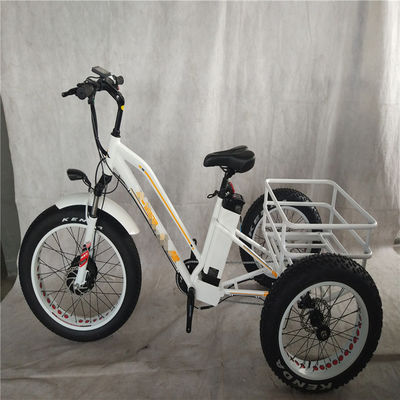 750 Вт Электровелосипед 3 колеса для взрослых жирная шина E Trike грузовой крутящий момент 70-80 Нм дисковые тормоза