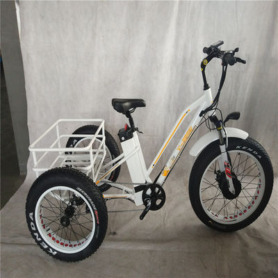750 Вт Электровелосипед 3 колеса для взрослых жирная шина E Trike грузовой крутящий момент 70-80 Нм дисковые тормоза