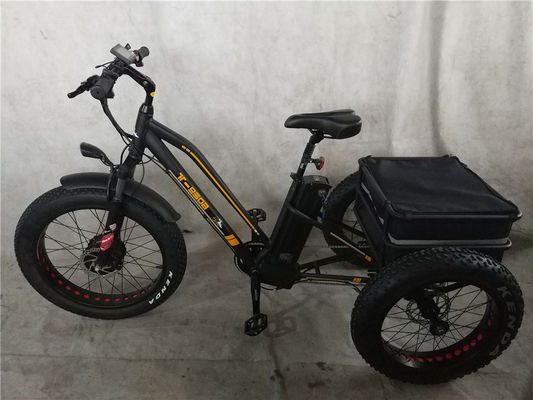 750 Вт Электровелосипед 3 колеса для взрослых жирная шина E Trike грузовой крутящий момент 70-80 Нм дисковые тормоза