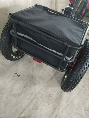 750 Вт Электровелосипед 3 колеса для взрослых жирная шина E Trike грузовой крутящий момент 70-80 Нм дисковые тормоза