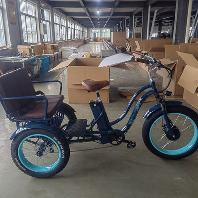 750 Вт Электровелосипед 3 колеса для взрослых жирная шина E Trike грузовой крутящий момент 70-80 Нм дисковые тормоза