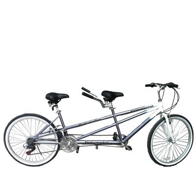 26 дюймов 18 Speed Mountain розничная продажа 20% скидка CE OEM EN14764 Двойной человек тандем велосипед