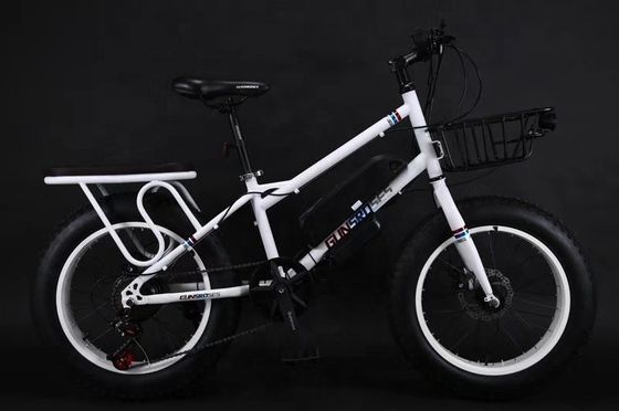 20&quot; 500W 48V13AH OEM/ODM EN15194 Дисковый тормоз электрический велосипед для маленьких детей на открытом воздухе
