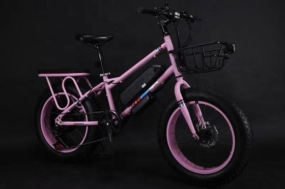 20&quot; 500W 48V13AH OEM/ODM EN15194 Дисковый тормоз электрический велосипед для маленьких детей на открытом воздухе