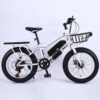 20&quot; 500W 48V13AH OEM/ODM EN15194 Дисковый тормоз электрический велосипед для маленьких детей на открытом воздухе