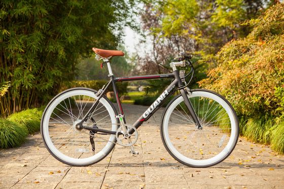 City 700C 25KM/H CE 36V 8AH Литийная батарея OEM на заказ 250W Европа City Single Speed Adult Men Электрический велосипед с скрытой батареей