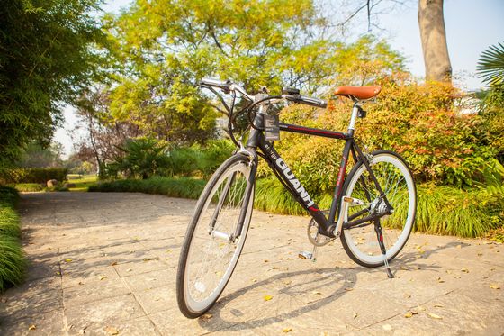 City 700C 25KM/H CE 36V 8AH Литийная батарея OEM на заказ 250W Европа City Single Speed Adult Men Электрический велосипед с скрытой батареей