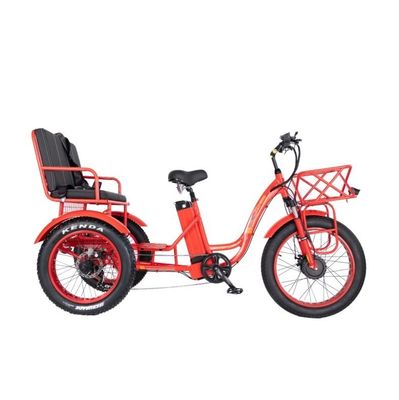 48 Вт E Trike 3 колеса 750 Вт жирная шина рикша с Bafang 750 Вт мотором и производительностью