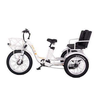 48 Вт E Trike 3 колеса 750 Вт жирная шина рикша с Bafang 750 Вт мотором и производительностью