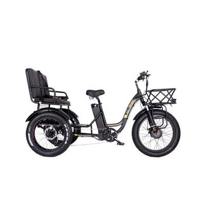48 Вт E Trike 3 колеса 750 Вт жирная шина рикша с Bafang 750 Вт мотором и производительностью