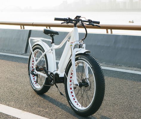 Рынок США EN15194 CPSC 48V 1000W 17AH Электрический горный велосипед с средним мотором Bafang