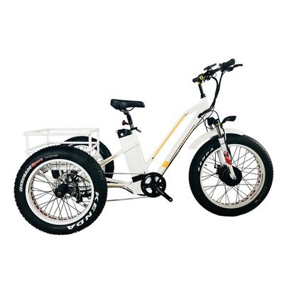 48V 14AH Задняя корзина 4.0 Снежная шина Электрический грузовой трехколесный велосипед с сертификацией США CE
