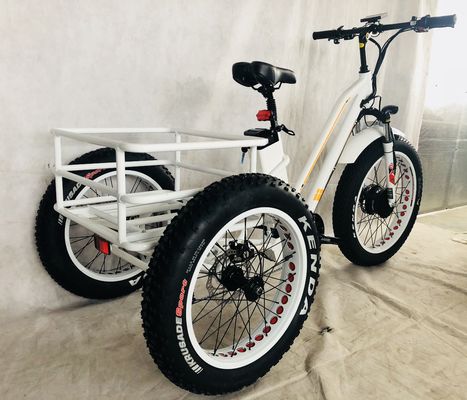 48V 14AH Задняя корзина 4.0 Снежная шина Электрический грузовой трехколесный велосипед с сертификацией США CE