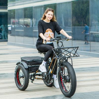 48V 14AH Задняя корзина 4.0 Снежная шина Электрический грузовой трехколесный велосипед с сертификацией США CE