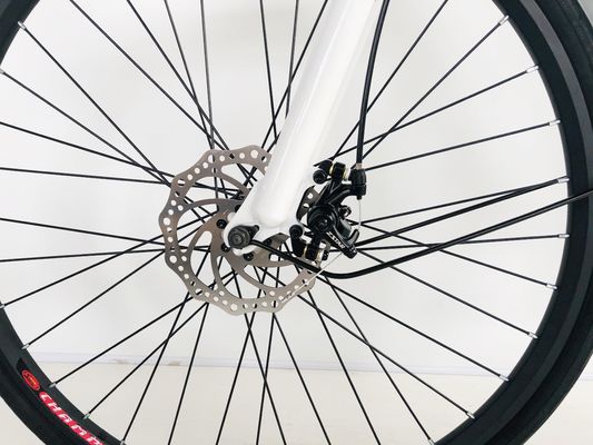 28-дюймовый городской велосипед 36V250W литийная батарея 14AH EN15194 EN15194 для женщин Леди США Европа