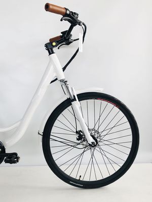 США USD390 500W 48V 14AH Электрический велосипед для леди с 7 скоростными передачами и ЖК-дисплеем