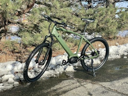 36V 350W EN15194 2007 односкоростной электрический велосипед с 10,41AH литийным аккумулятором и PAS