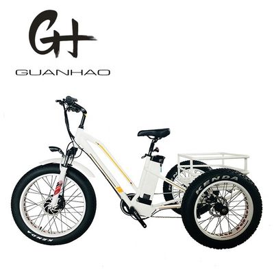 Батарея 48V21AH CE США Рынок 750W 8FUN Передний мотор 24-20 дюймов 3 колеса жирная шина Электрическая рикша