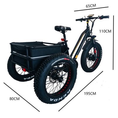 Большая мощность 48В 13AH 750W 45КМ/ч UL2849 Bafang Передний мотор Электрический жирный шины трехколесный 20