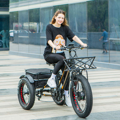 Большая мощность 48В 13AH 750W 45КМ/ч UL2849 Bafang Передний мотор Электрический жирный шины трехколесный 20