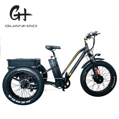 США 24&quot;20&quot; Моторизованный Bafang 8fun 750W 48V 17a Взрослый 3 колеса грузовой Эбик Электрический трехколесный велосипед