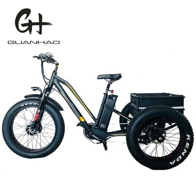 США 24&quot;20&quot; Моторизованный Bafang 8fun 750W 48V 17a Взрослый 3 колеса грузовой Эбик Электрический трехколесный велосипед