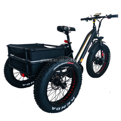 США 24&quot;20&quot; Моторизованный Bafang 8fun 750W 48V 17a Взрослый 3 колеса грузовой Эбик Электрический трехколесный велосипед