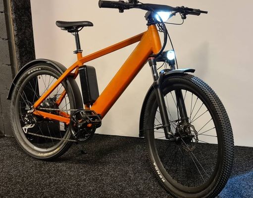 1000 Вт 48 В 14 АГ скрытая батарея скрытая E-MTB LCD дисплей электрический горный велосипед для ваших