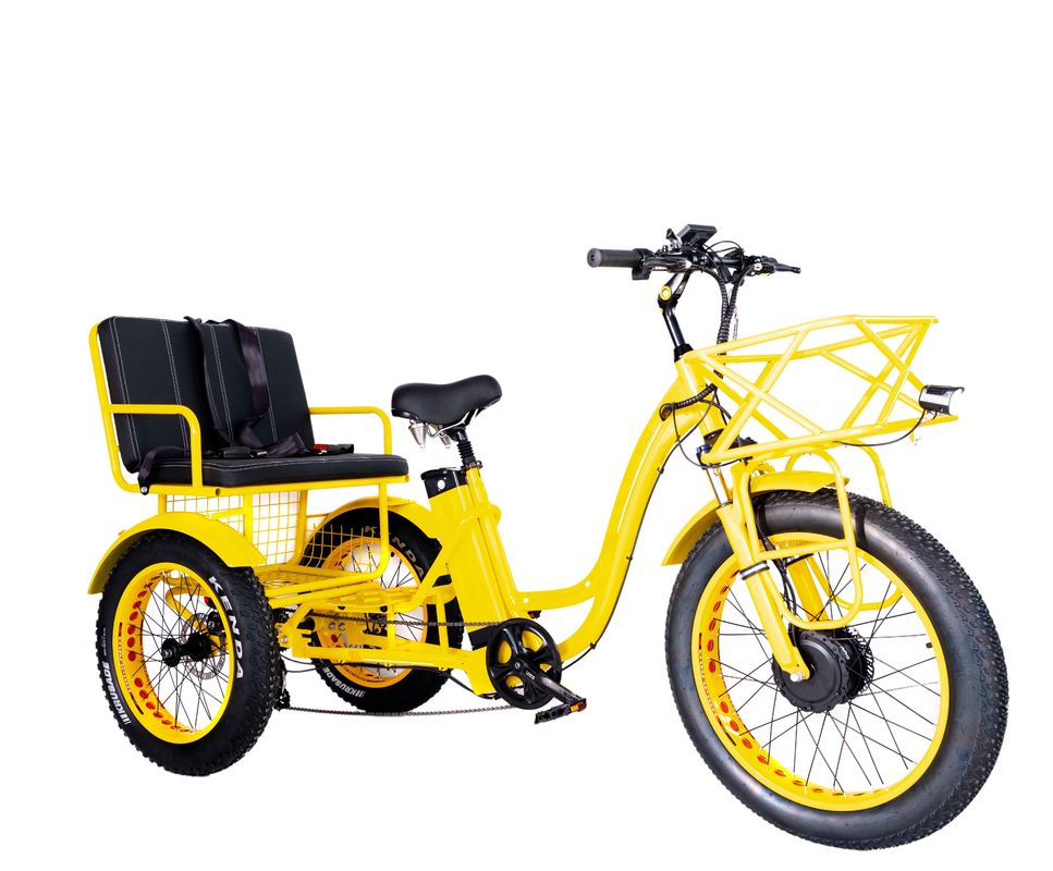 Электрическая рикша 750 Вт Передний BaFang Мотор 21AH Литийная батарея 60KM США Взрослый 24 &quot;Толстый снег Большая шина пассажирское сиденье