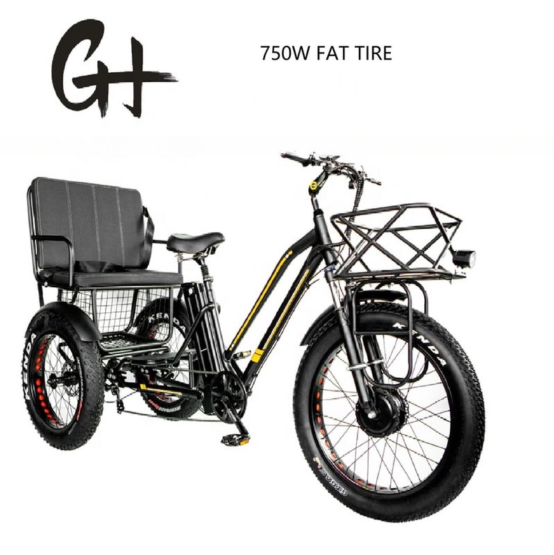 Bafang 750W Мотоэлектрический трехколесный велосипед с жирной шиной E Три колеса и пассажирское сиденье