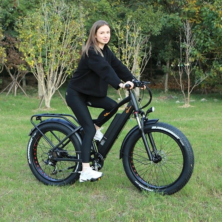 48 Вт 1000 Вт 17 АГ литийная батарея OEM EN15194 CE настраиваемый электрический велосипед MTB горные жирные шины
