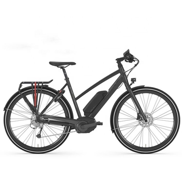 Bafang Central Motor 25KM/H 8.8AH Литийная батарея OEM CE Электрический городской грузовой велосипед