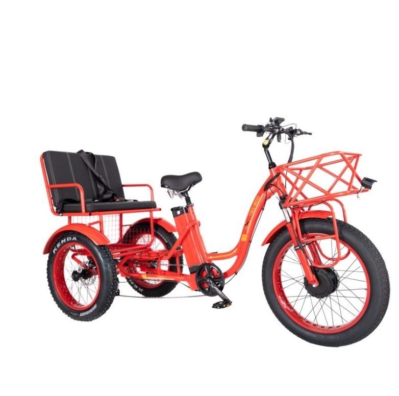 48 Вт E Trike 3 колеса 750 Вт жирная шина рикша с Bafang 750 Вт мотором и производительностью