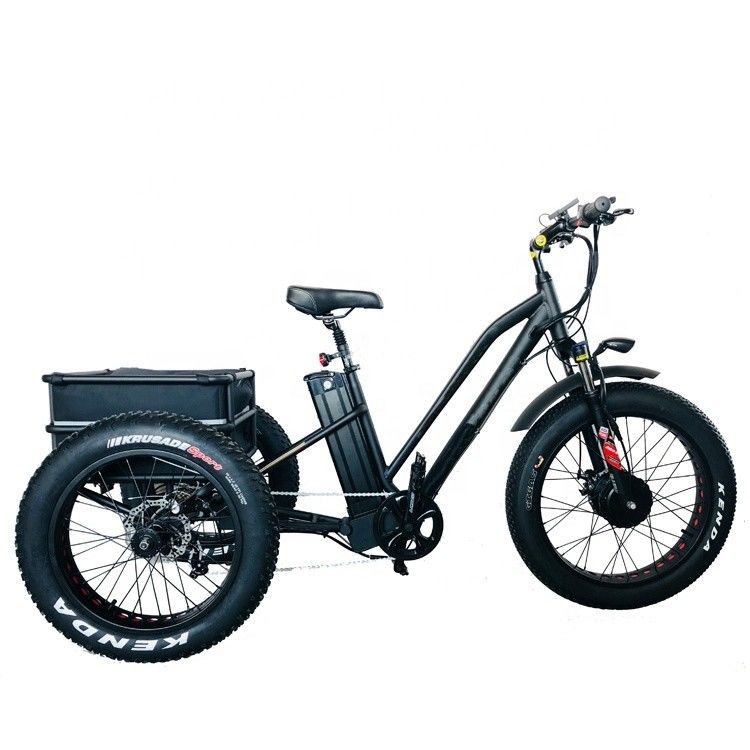 Большая мощность 48В 13AH 750W 45КМ/ч UL2849 Bafang Передний мотор Электрический жирный шины трехколесный 20