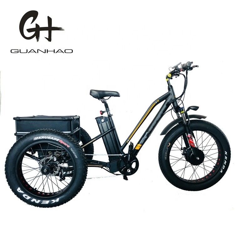 США 24&quot;20&quot; Моторизованный Bafang 8fun 750W 48V 17a Взрослый 3 колеса грузовой Эбик Электрический трехколесный велосипед